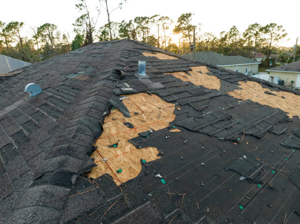 Best Metal Roofing Installation  in Highlands, TX